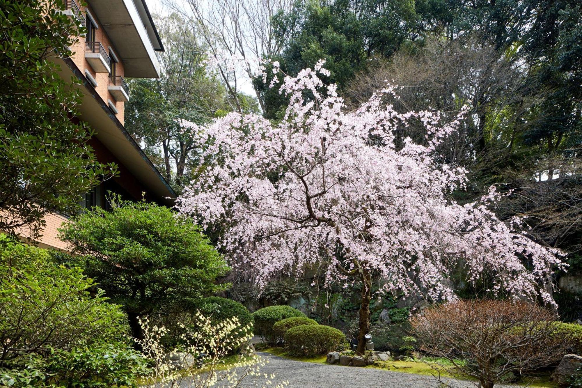 Hyatt Regency Kyoto Hotel Bagian luar foto